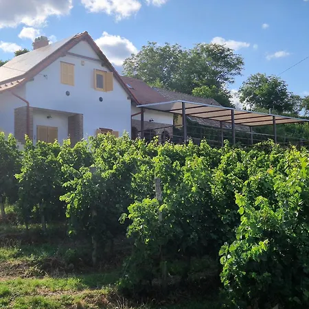 Apartmán Werner Bataszek